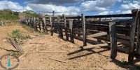 Fazenda com 66,69 ha, pastagem e açúdes, ideal para pecuária