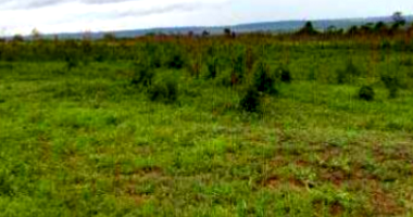 Fazenda com 229,97 hectares em Vilhena/RO