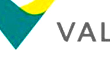 Lote com 1.356 debêntures da Companhia Vale S.A., investimento financeiro