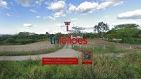 Terreno de 1,16ha em Belo Jardim/PE