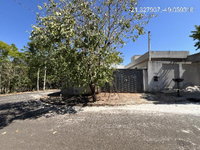 Casa com 50m², 2 quartos, banheiro e cozinha em Itajobi/SP