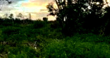 Terreno de 8000m² em Capitão Poço