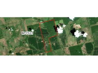 Fazenda Vó Maria - Área Rural 516,94ha em Leilão - Projeto Santaninha/MT