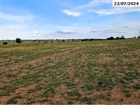 Fazenda com 109 hectares, casa, galpão e curral - Ótimo investimento