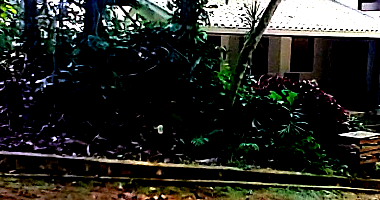 Terreno no Park Imperial com 433,97 m²