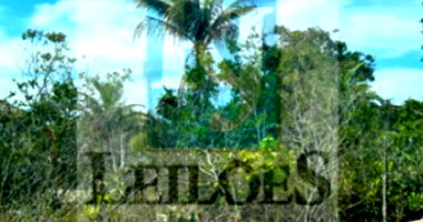 Terreno Urbano em Santa Cruz de Cabrália - Gleba 02