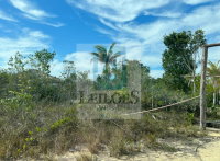 Terreno Urbano em Santa Cruz de Cabrália - Gleba 02