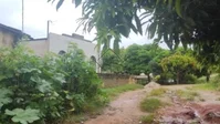 Imóvel Rural com 412 hectares em Aliança/PE
