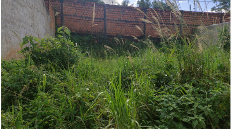Terreno em Capela/SE com 90m²