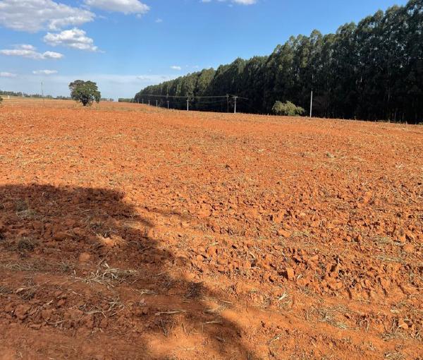 Fazenda Santa Helena com 50% de participação em 145,75 hectares