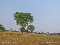 Fazenda com 1.305,3359 hectares, ideal para agropecuária