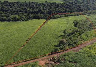 Imóvel Rural com 0,82 Alqueires em Formosa do Oeste - PR