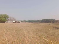 Área Rural 28 ha e 112 ha em Denise-MT