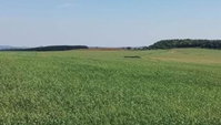 Área Rural de 110.000 m², Ocupada