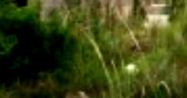 Terreno 144.76m² no Loteamento Vivari - Ocupado