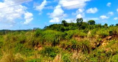 Imóvel Rural com 50.000 m² em Camaçari - BA