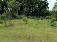 Terreno de 17.051m² para pastagem em Rialma - GO