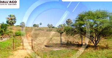 Sítio com 102,3 hectares, área rural ampla e produtiva