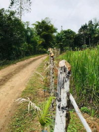 Lote de Terras com 9.620m² em Juquiá - Oportunidade Única!