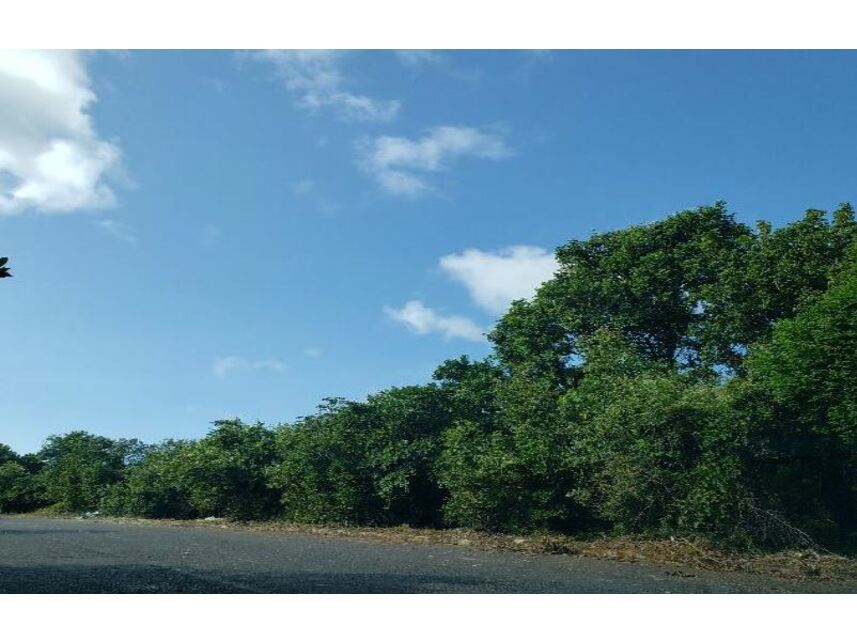 Terreno amplo na Avenida Paralela, desocupado e pronto para construir