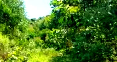 Área Rural com 4,9ha em Vila Maria/RS