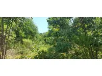 Área Rural com 4,9ha em Vila Maria/RS