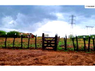 Sítio com Casa e Depósito em Icó/CE