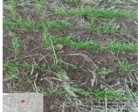 Terreno rural de 70.000 m² em Tiradentes