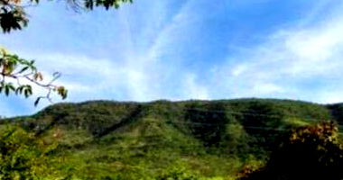 Fazenda com 180,20ha em Colônia Leopoldina/AL