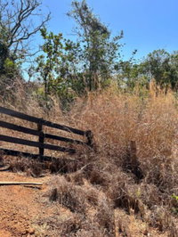 Chácara com 33ha, ideal para investimento rural