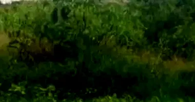 Terreno em Leilão com 270m² em Itapetininga/SP