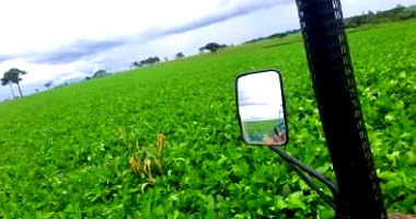 Imóvel Rural com 31,5324 HA em Estância Sol Nascente