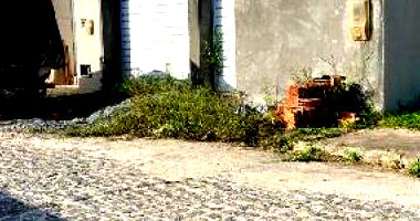 Casa 2 quartos 56m² com área de serviço e cozinha