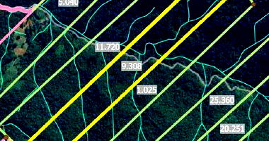 Terreno rural de 253m² com potencial produtivo, sem benfeitorias