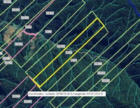 Terreno rural de 253m² com potencial produtivo, sem benfeitorias