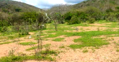 Lote Residencial Desocupado com 1609.6 m²