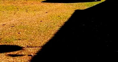 Terreno com Edícula em Icaraíma/PR - 450m²