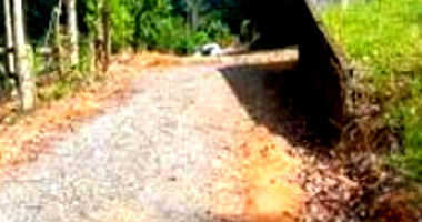 Terreno Urbano com Área Total de 1.655,900 m² em Rio do Sul - SC