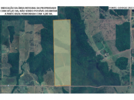 Fazenda com 105,83ha, fração ideal 4ha, terreno plano e fértil