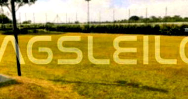 Terreno com 1.000m² A.P. e 1.319m² A.T.