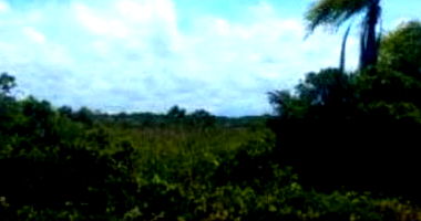 Terreno com 257 m² em Balneário Jardim Tropical