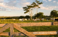 Fazenda Palmares com 5.221,735 HA em Moju/PA