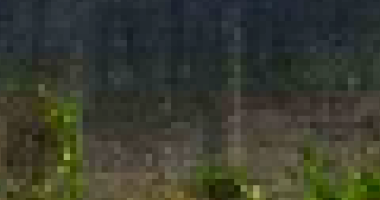 Terreno com 200m² em São Gonçalo do Amarante/RN