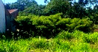 Terreno Urbano em Santa Rita do Araguaia - 468,75 m²