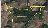 Área Rural com 38.13Ha em Tiros/MG -
