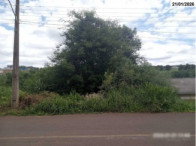 Terreno de 420m² em Caçador e com vegetação