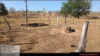 Fazenda Galileia - 45,97 ha - Pecuária