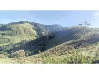 Área Rural em Leilão - Baependi/MG