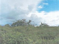 Área Rural com Casa Residencial em Sítio Novo