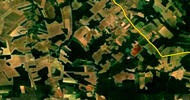 Terreno Rural de 138,63ha em Mojuí dos Campos/PA - Oportunidade Única!